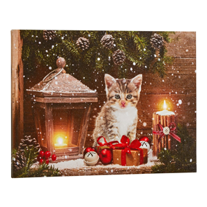 Blancheporte Obraz s LED zářivkami, motiv kočky